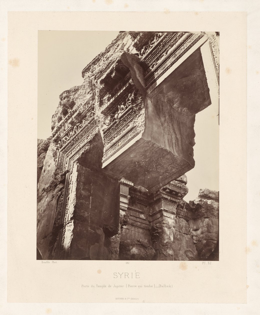  द्वारा मैसन बोनफिल्स