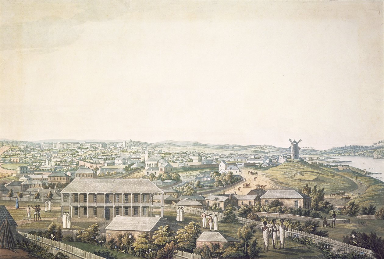 न्यू साउथ वेल्स में सिडनी शहर, एक मनोरम दृश्य के केंद्रीय खंड, c.1821 (एक्वाटिंट) द्वारा मेजर जेम्स टेलर