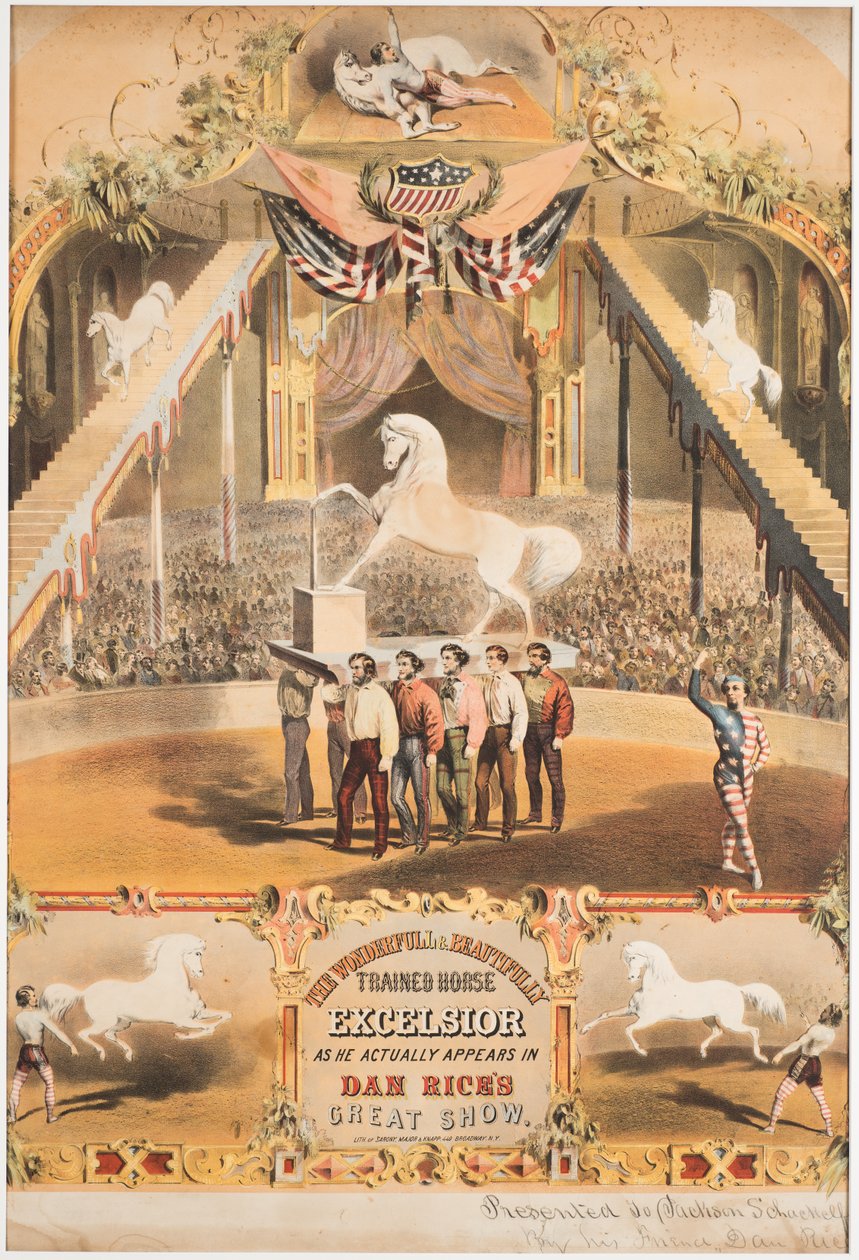 द वंडरफुल एंड ब्यूटीफुल ट्रेन्ड हॉर्स एक्सेलसियर, c.1840 (क्रोमोलिथो) द्वारा मेजर और कर्णप सरोनी