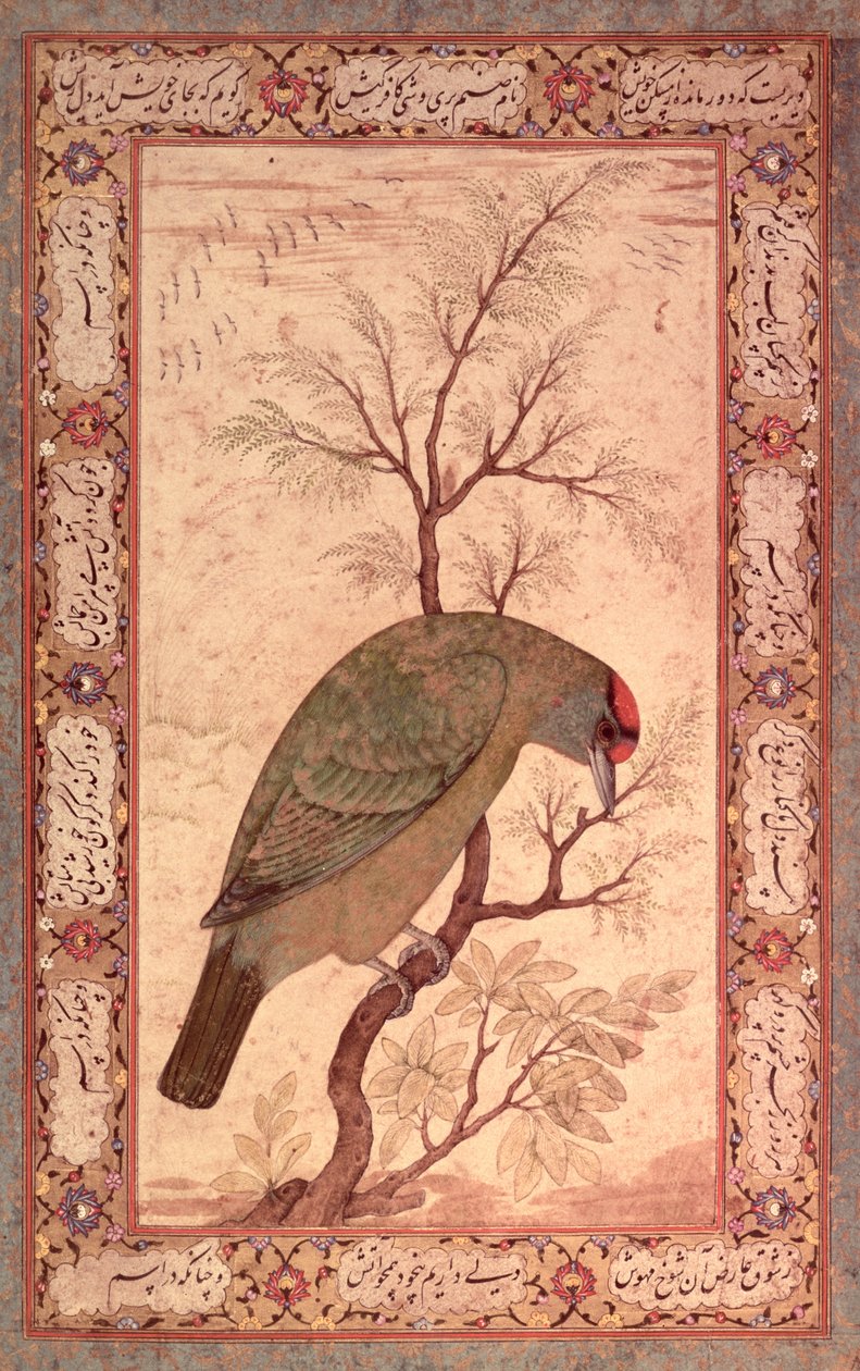 एक बर्बेट (हिमालयन नीला-गले वाला पक्षी) जहाँगीर काल, 1615 द्वारा मंसूर