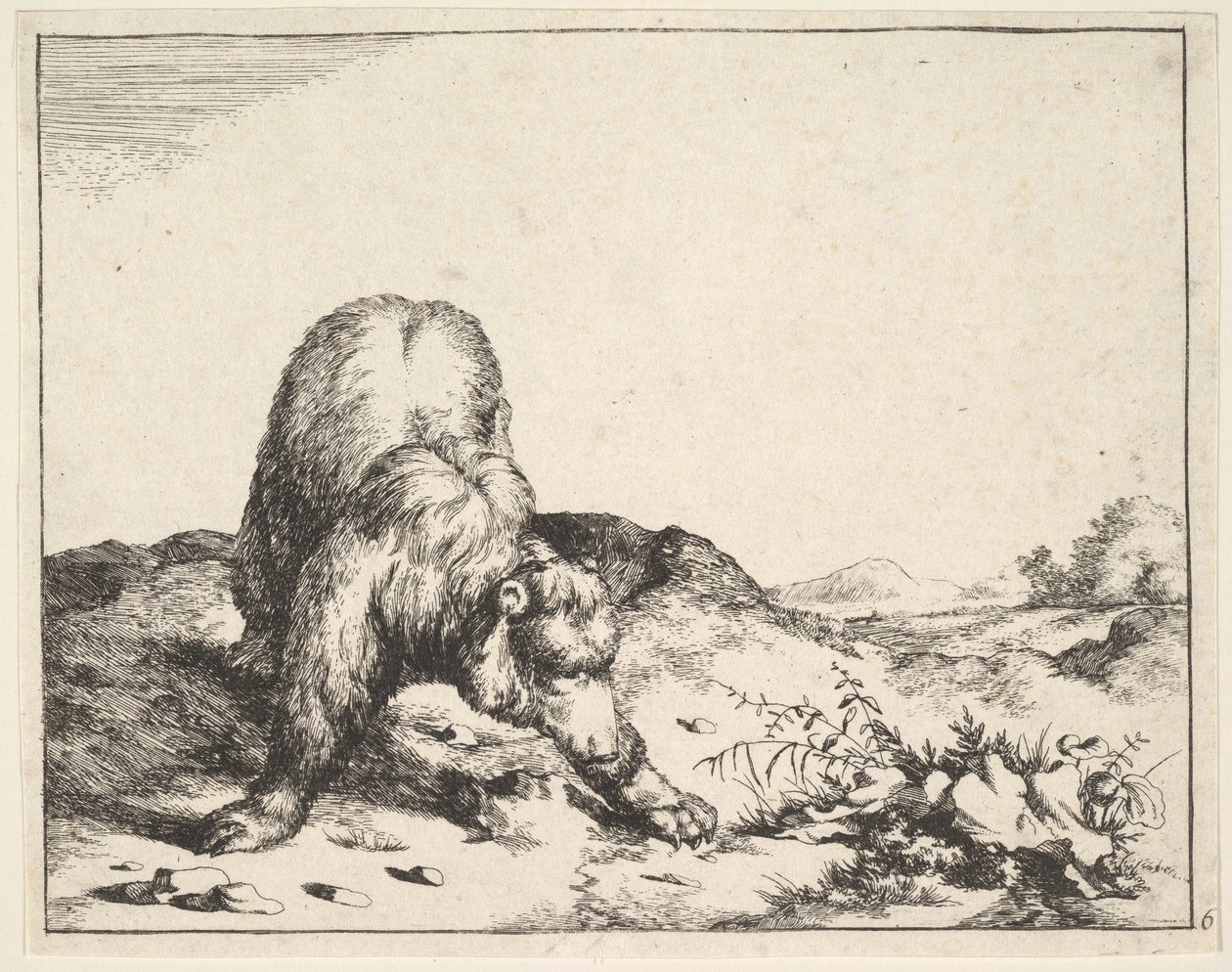 भालू के सेट से, ca. 1664. द्वारा मार्कस डी बाय