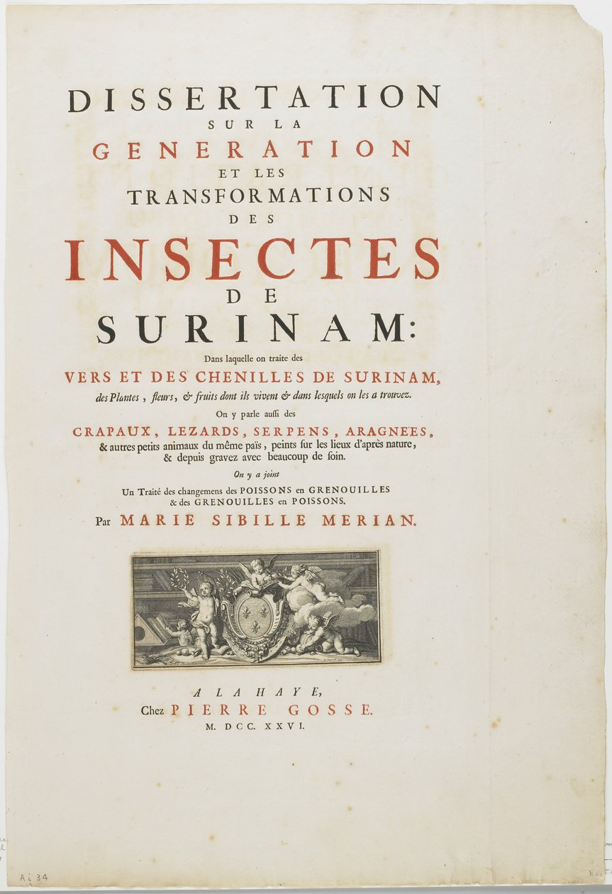 मेटामोर्फोसिस इंसेक्टेरम सूरीनामेंसियम, 1726 से शीर्षक पृष्ठ द्वारा मारिया सिबला मेरियन