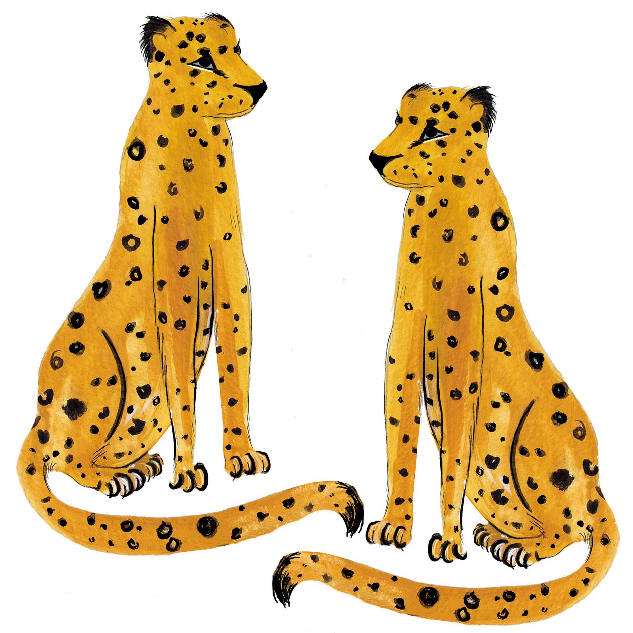  द्वारा मारियाना कुलुकुंडिस