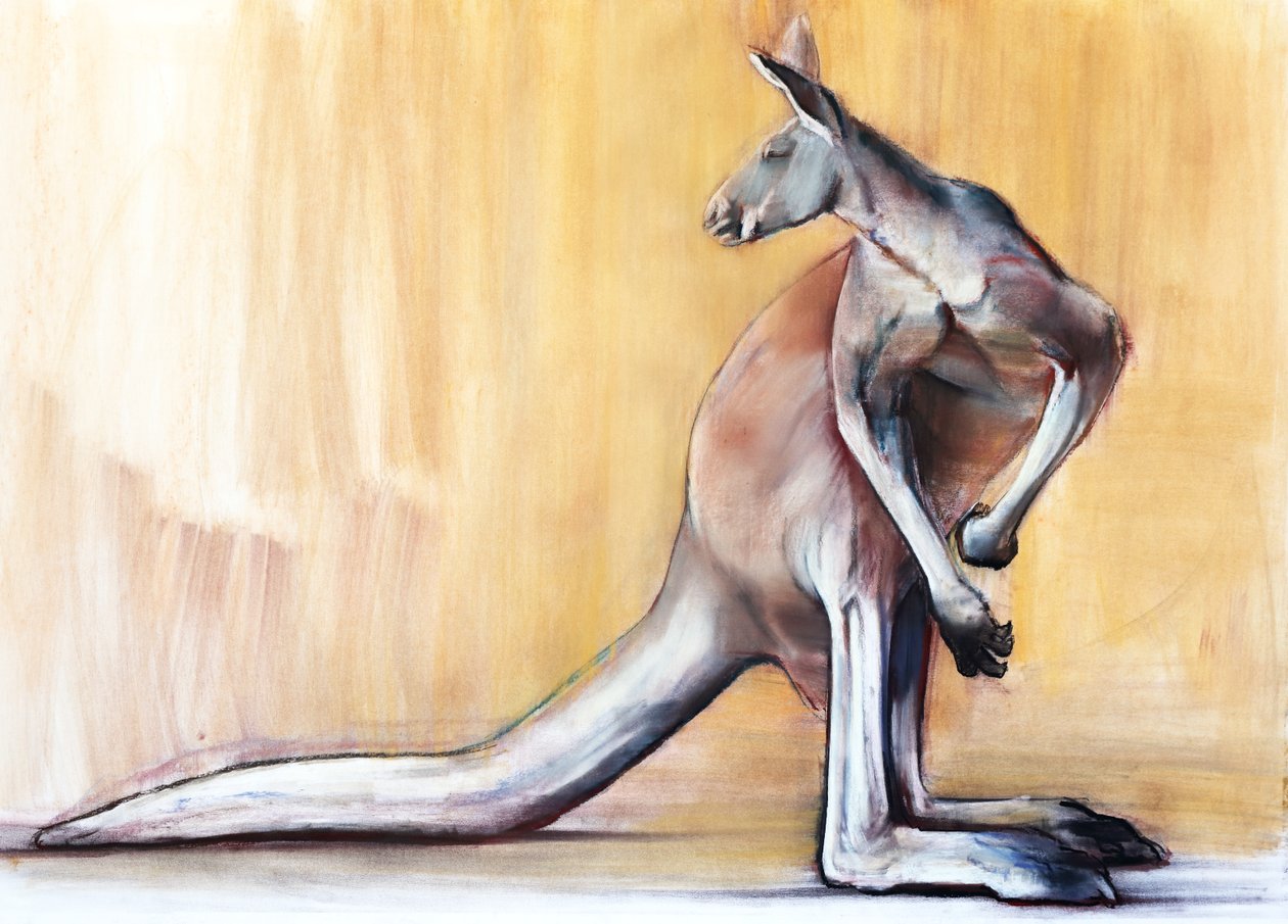 बिग रेड (कंगारू), 2014 द्वारा मार्क एडलिंगटन