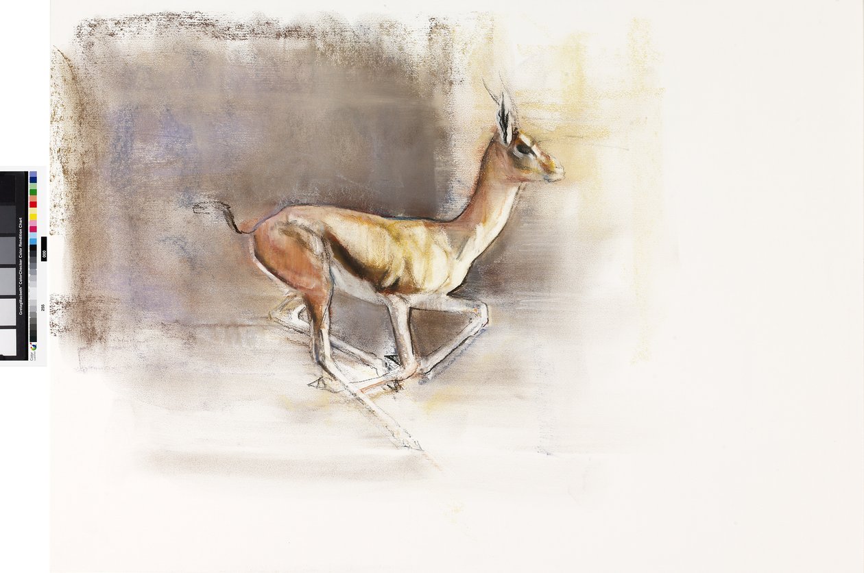 डेजर्ट विंड (अरेबियन गजल), 2010 (कागज पर तेल) द्वारा मार्क एडलिंगटन
