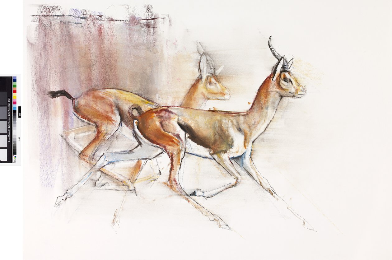 रनिंग अरेबियन गज़ेल्स, 2010 (कागज पर तेल) द्वारा मार्क एडलिंगटन