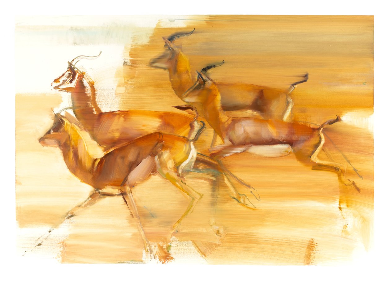 रनिंग गज़ेल्स, 2010 (कागज पर तेल) द्वारा मार्क एडलिंगटन