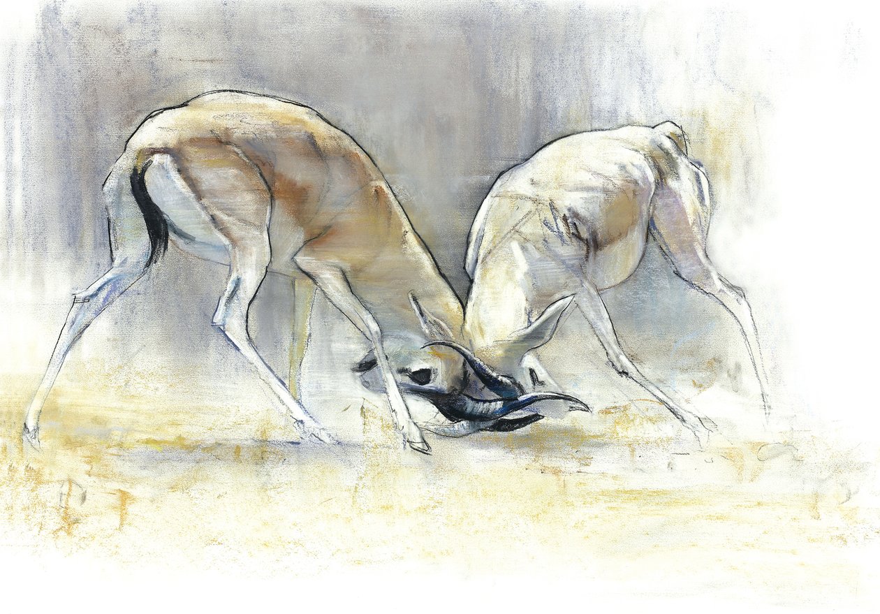 सैंड गज़ेल्स, 2009 (कागज पर कॉन्टे और चारकोल) द्वारा मार्क एडलिंगटन