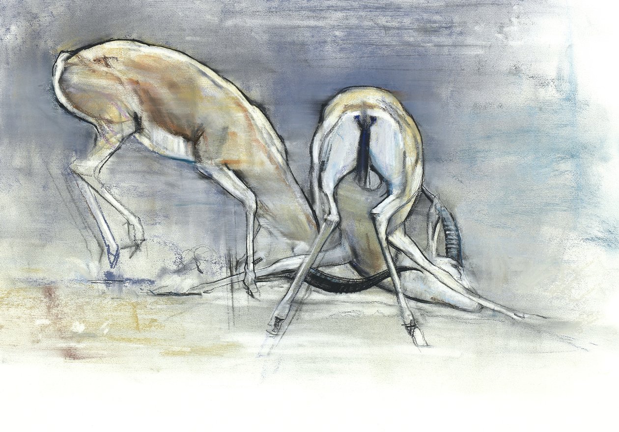 सैंड गज़ेल्स, 2009 (कॉन और पेपर पर चारकोल) द्वारा मार्क एडलिंगटन