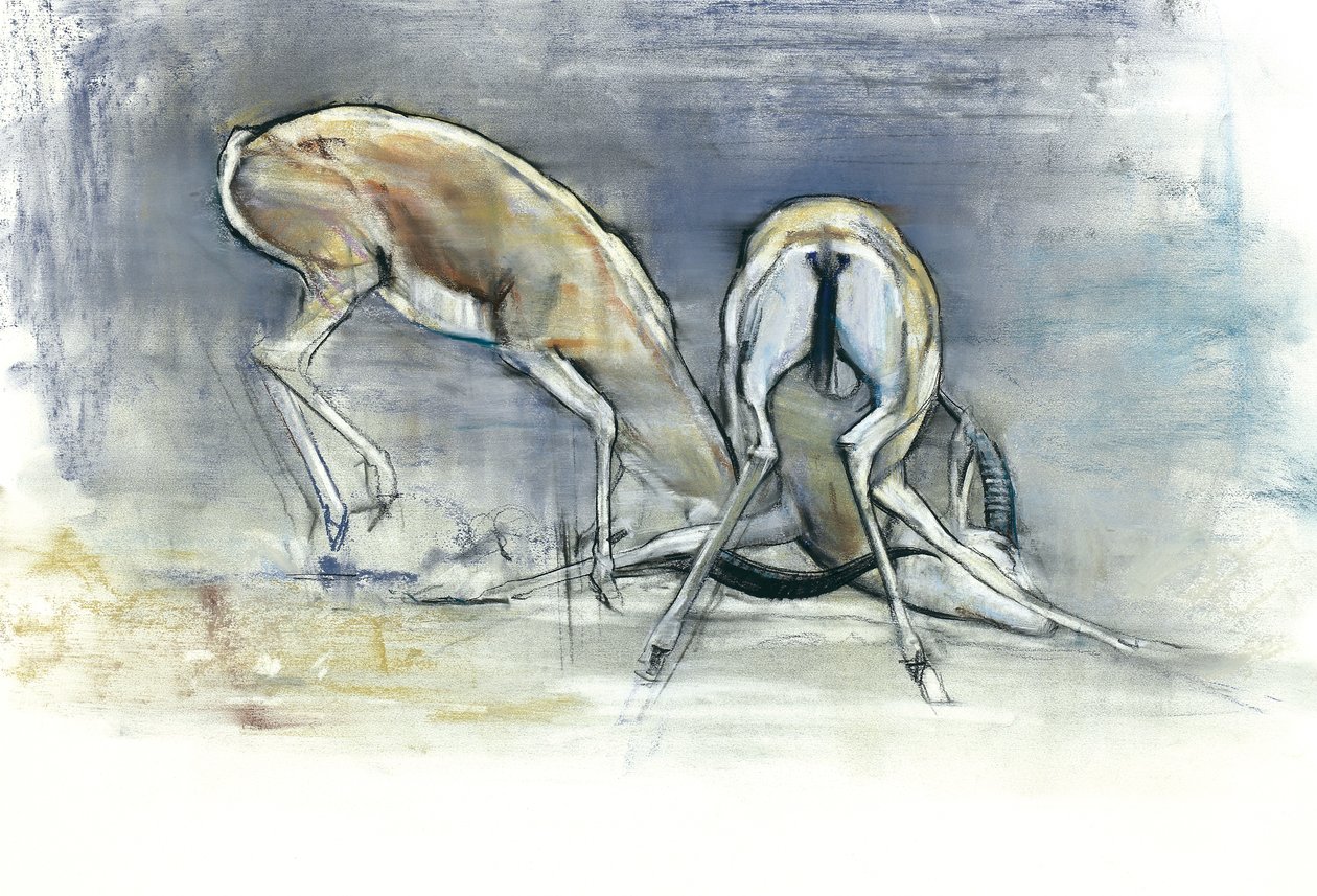 सैंड गज़ेल्स, 2009 (कॉन और पेपर पर चारकोल) द्वारा मार्क एडलिंगटन