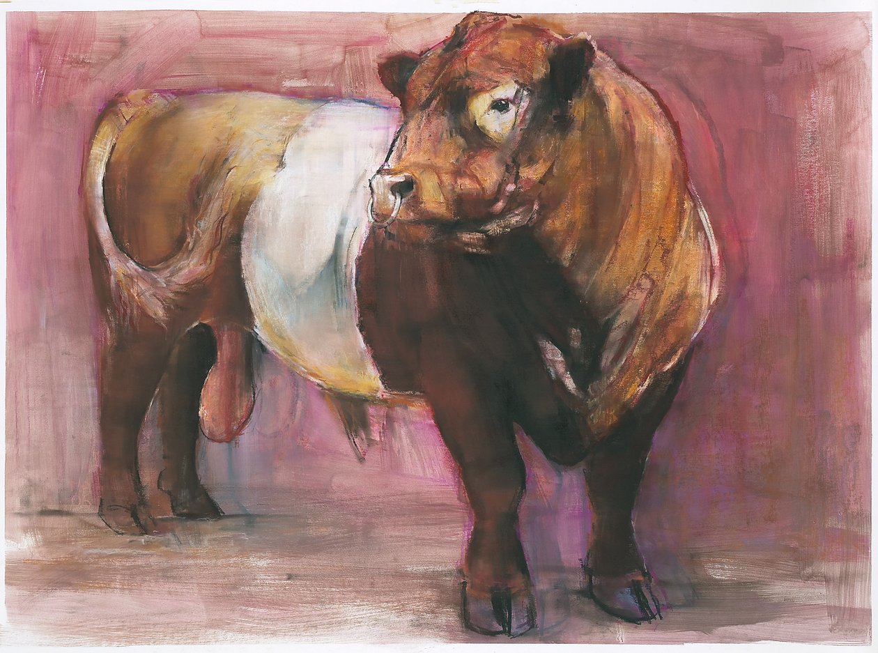 ज़ीउस, रेड बेलीड गैलोवे बुल, 2006 (कागज पर मिश्रित मीडिया) द्वारा मार्क एडलिंगटन