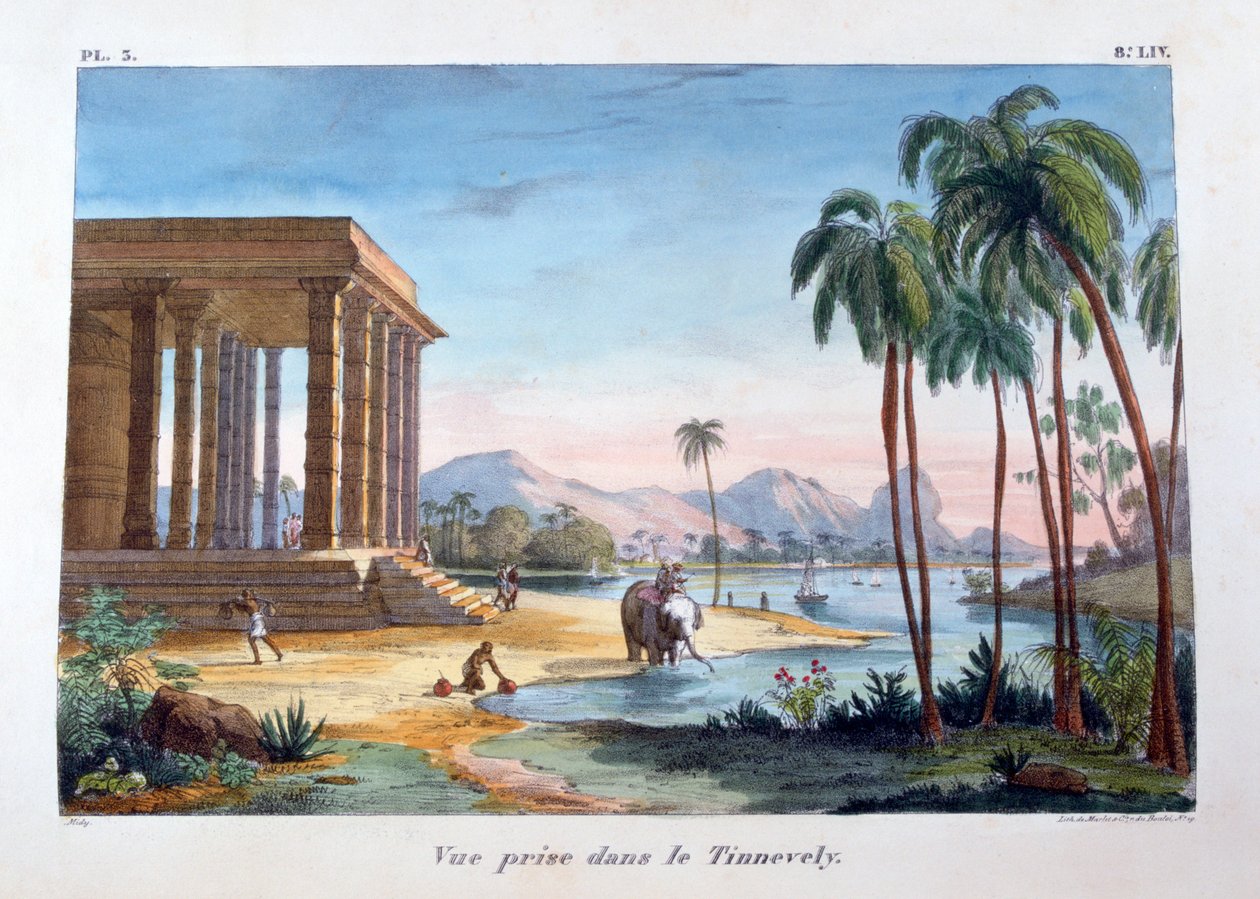 टिनलेवेल्ली, भारत का एक दृश्य, 1828 द्वारा मारलेट एट सी