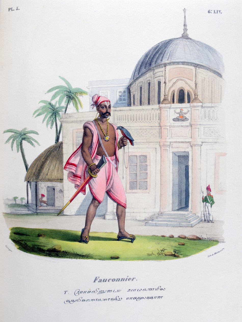 फाल्कनर, 1828 द्वारा मारलेट एट सी