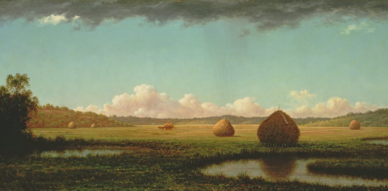 समर शावर, c.1862-63 द्वारा मार्टिन जॉनसन हेडे