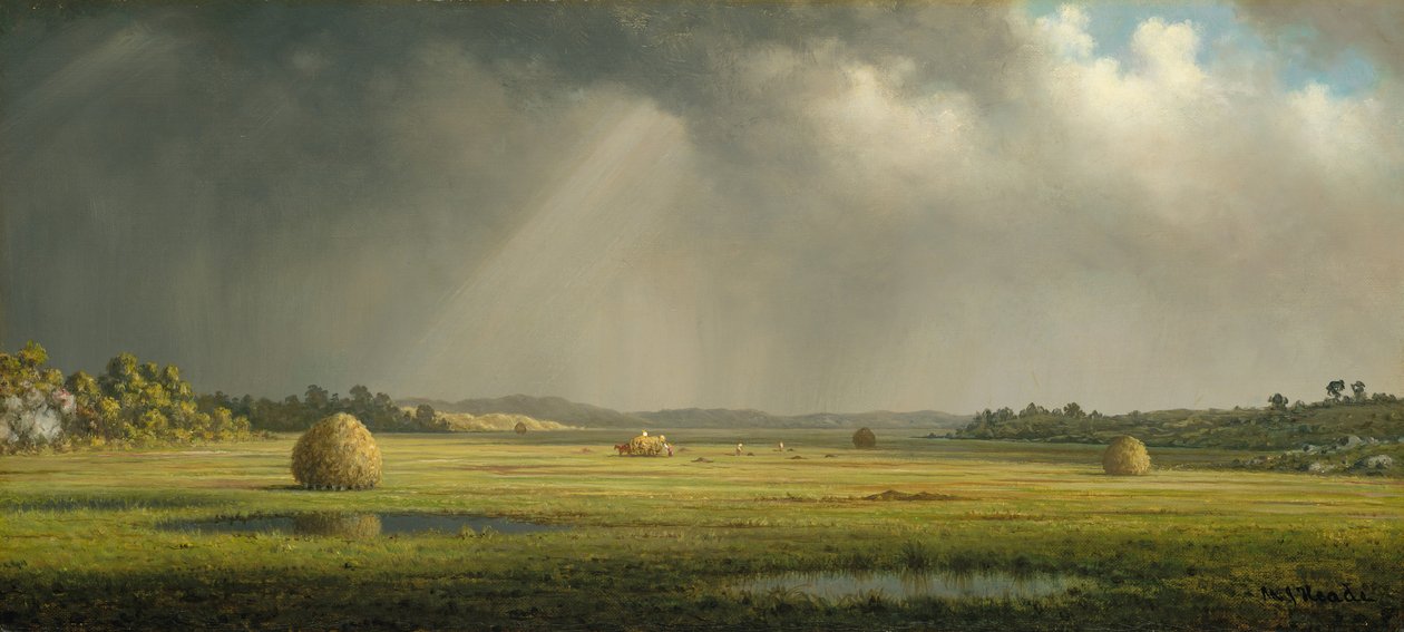 न्यूबरीपोर्ट मीडोज, ca. 1876-1881। द्वारा मार्टिन जॉनसन हेडे