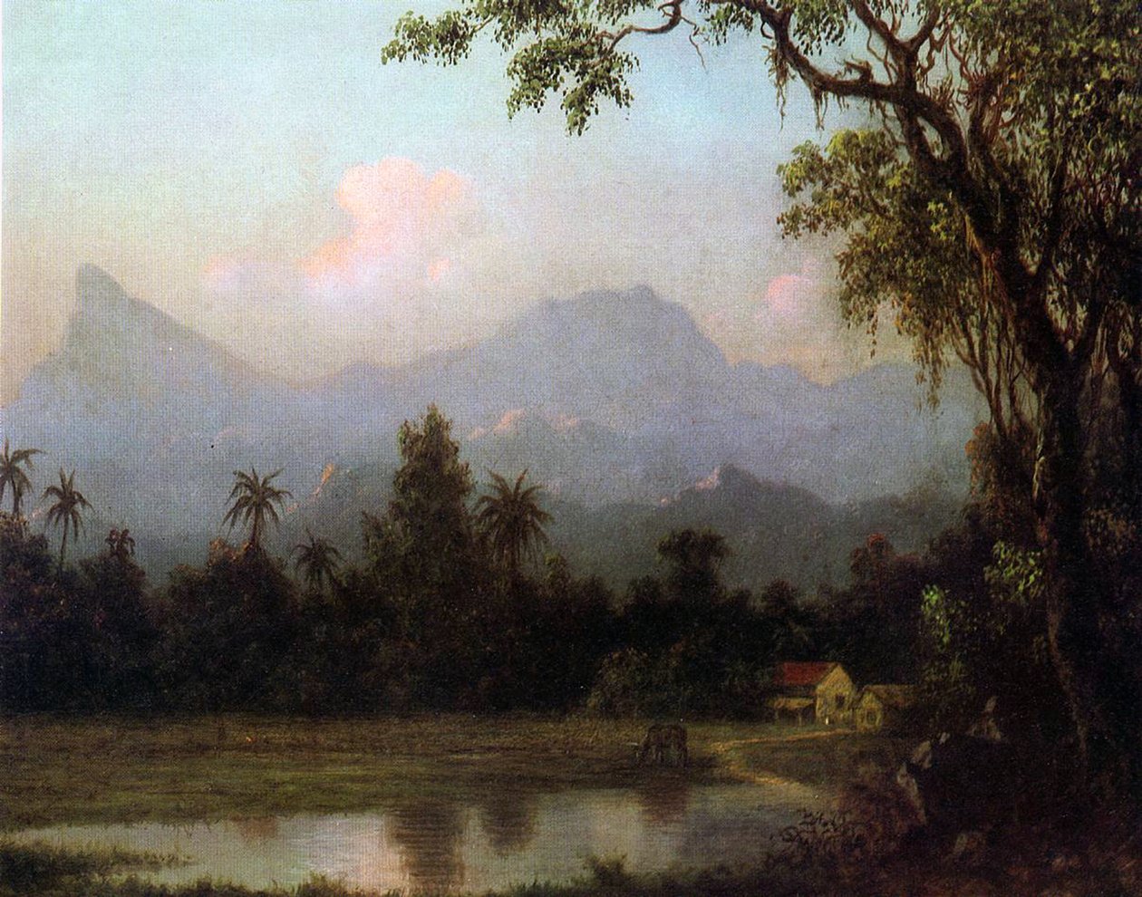 रियो डी जनेरियो, ब्राजील, c.1865 द्वारा मार्टिन जॉनसन हेडे