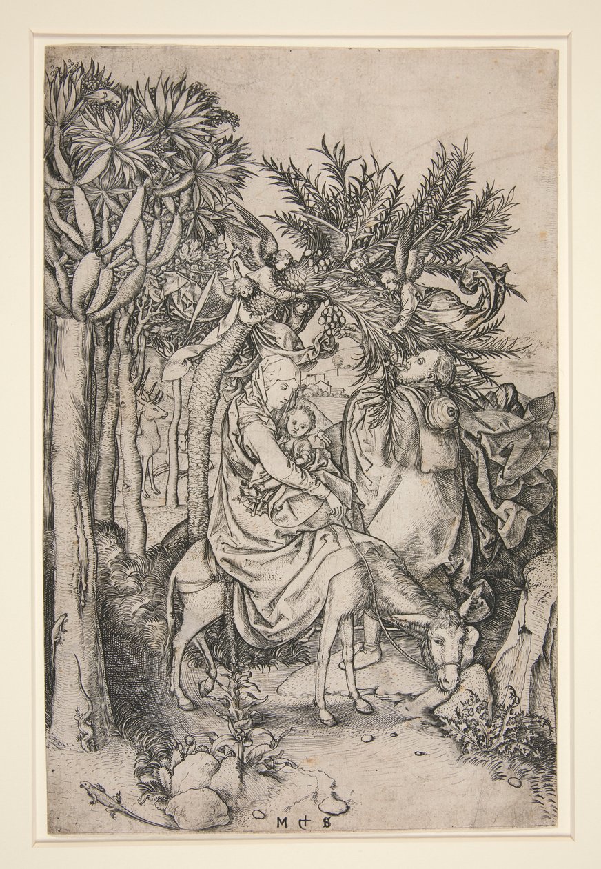 द्वारा मार्टिन शॉन्गॉउर