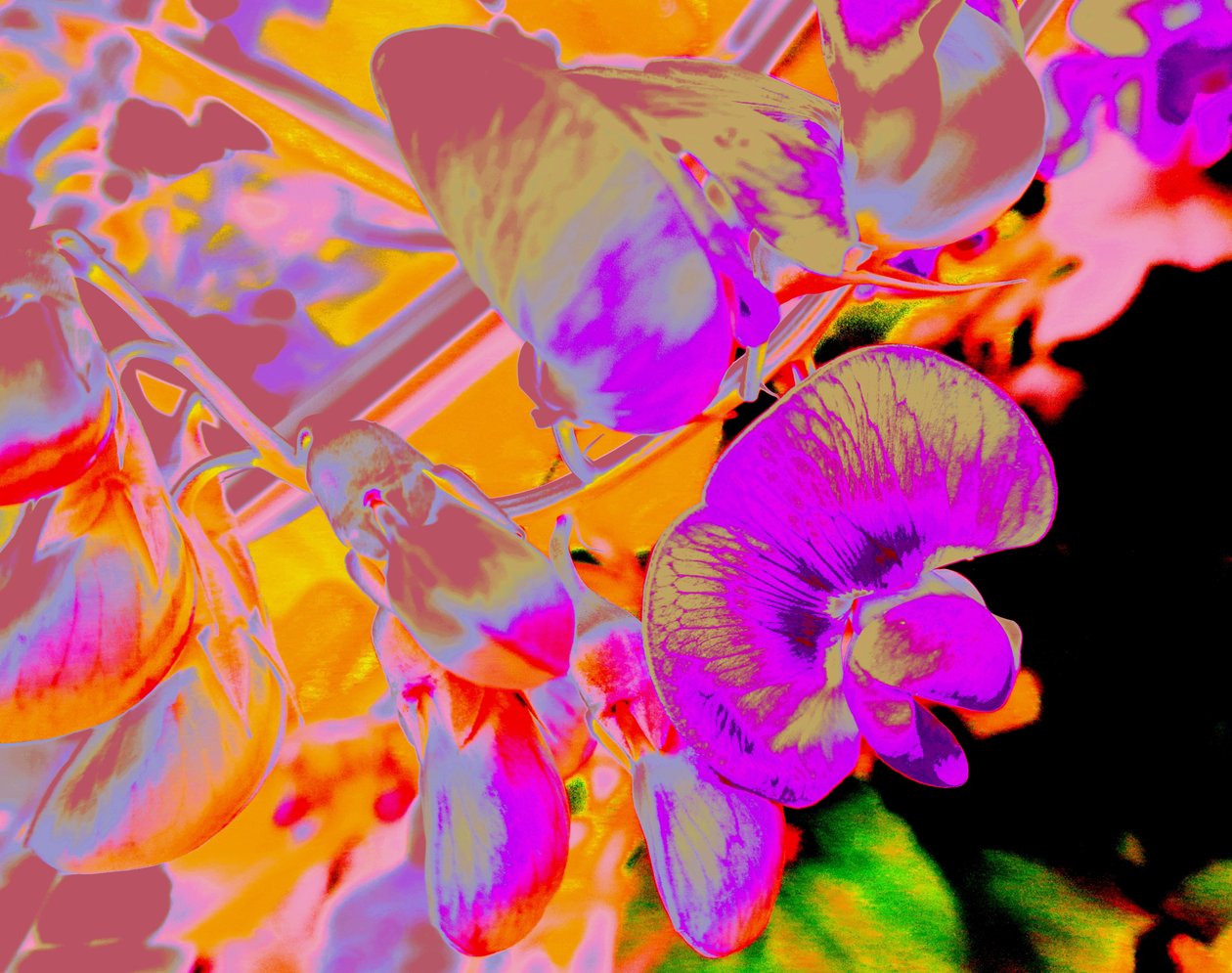 Sommerblumen द्वारा मार्टिना कोनिट्ज़की