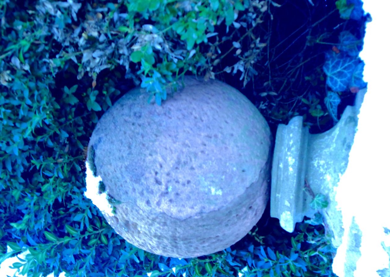  द्वारा मार्टिना कोनिट्ज़की