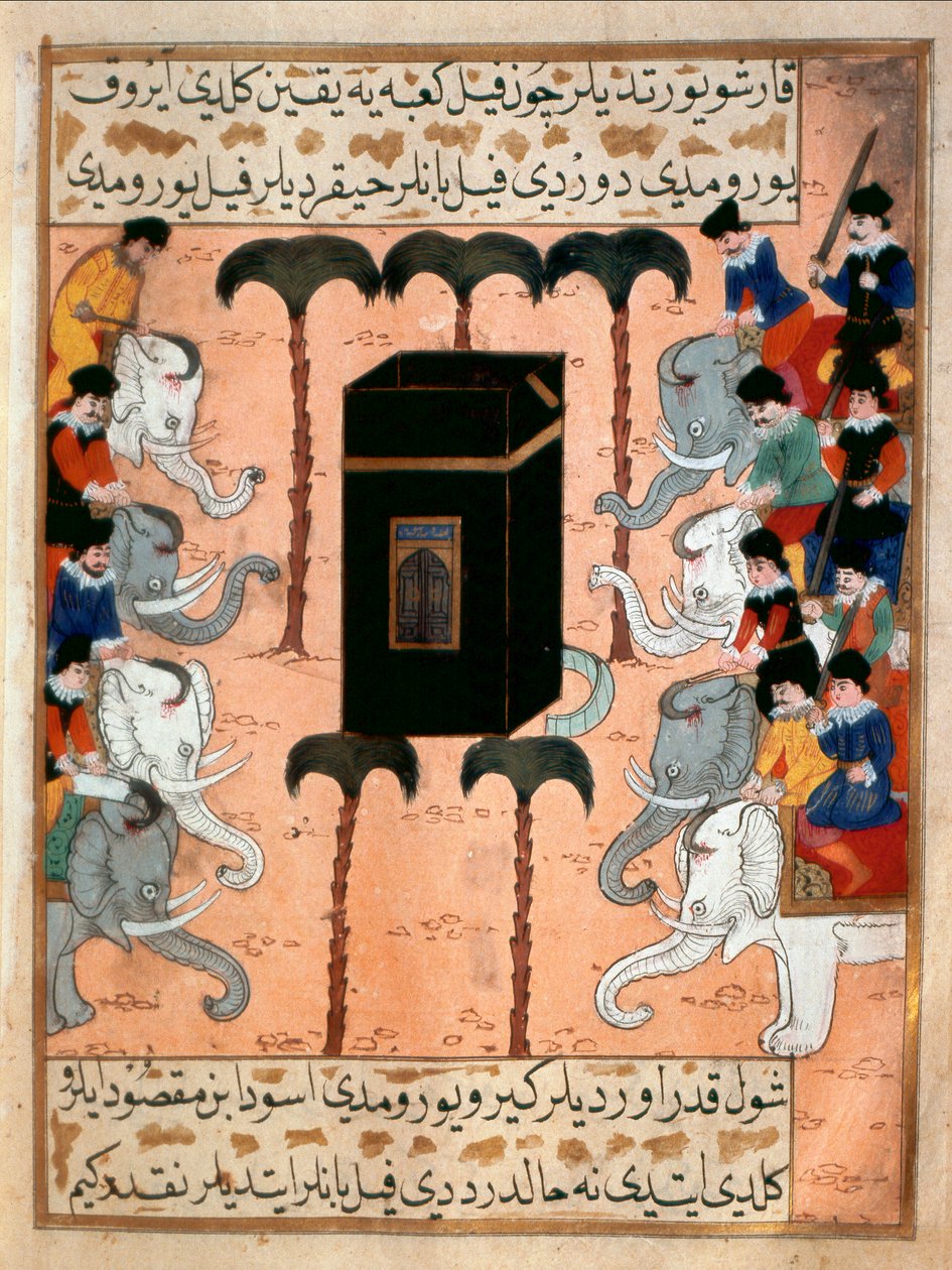  द्वारा मार्टिनो बस्सी