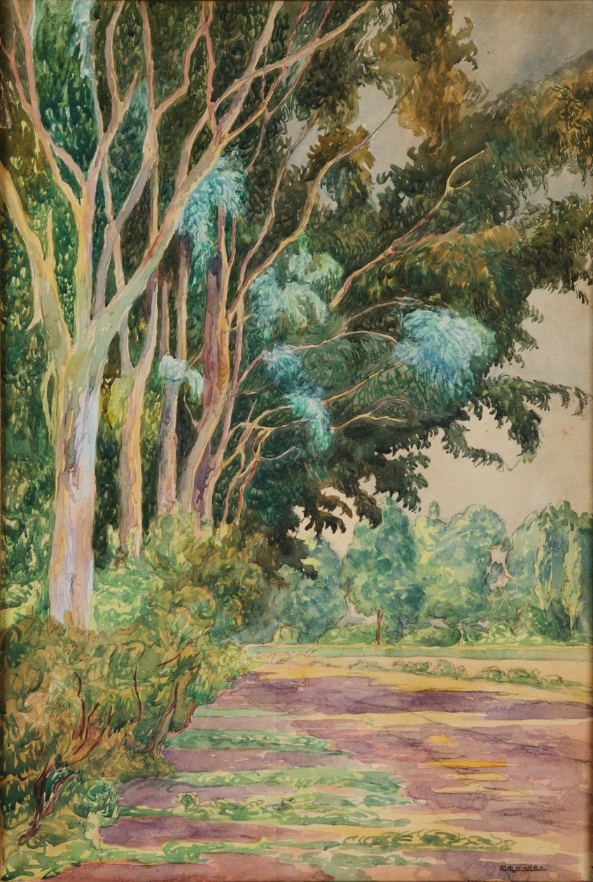  द्वारा मार्टिन मल्हारो