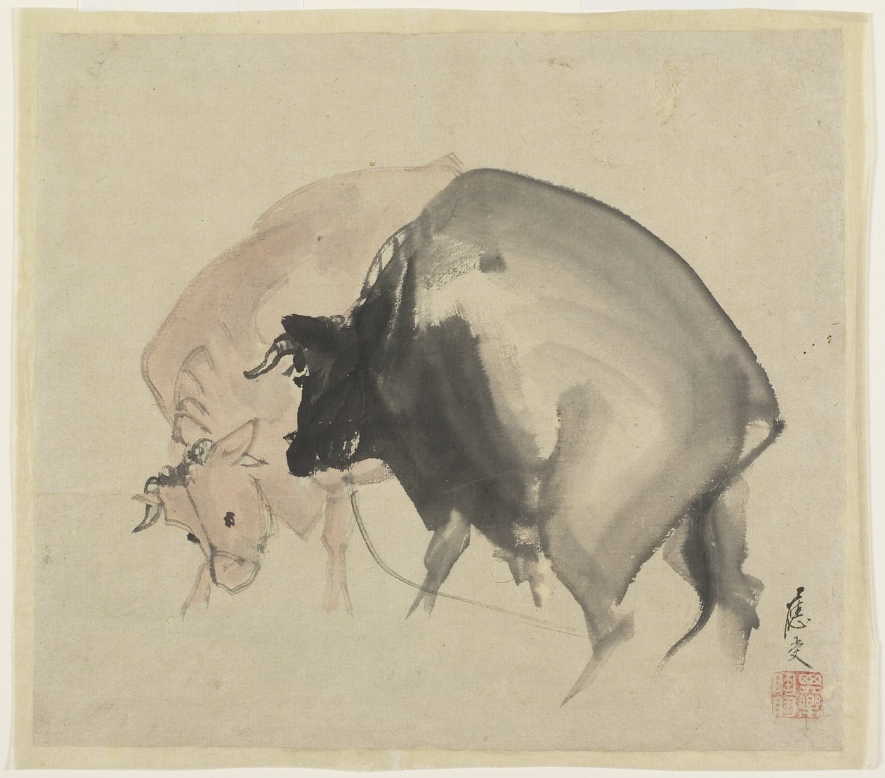 दो बैल, c.1810 (कागज पर स्याही और रंग) द्वारा मरुयामा ओजू