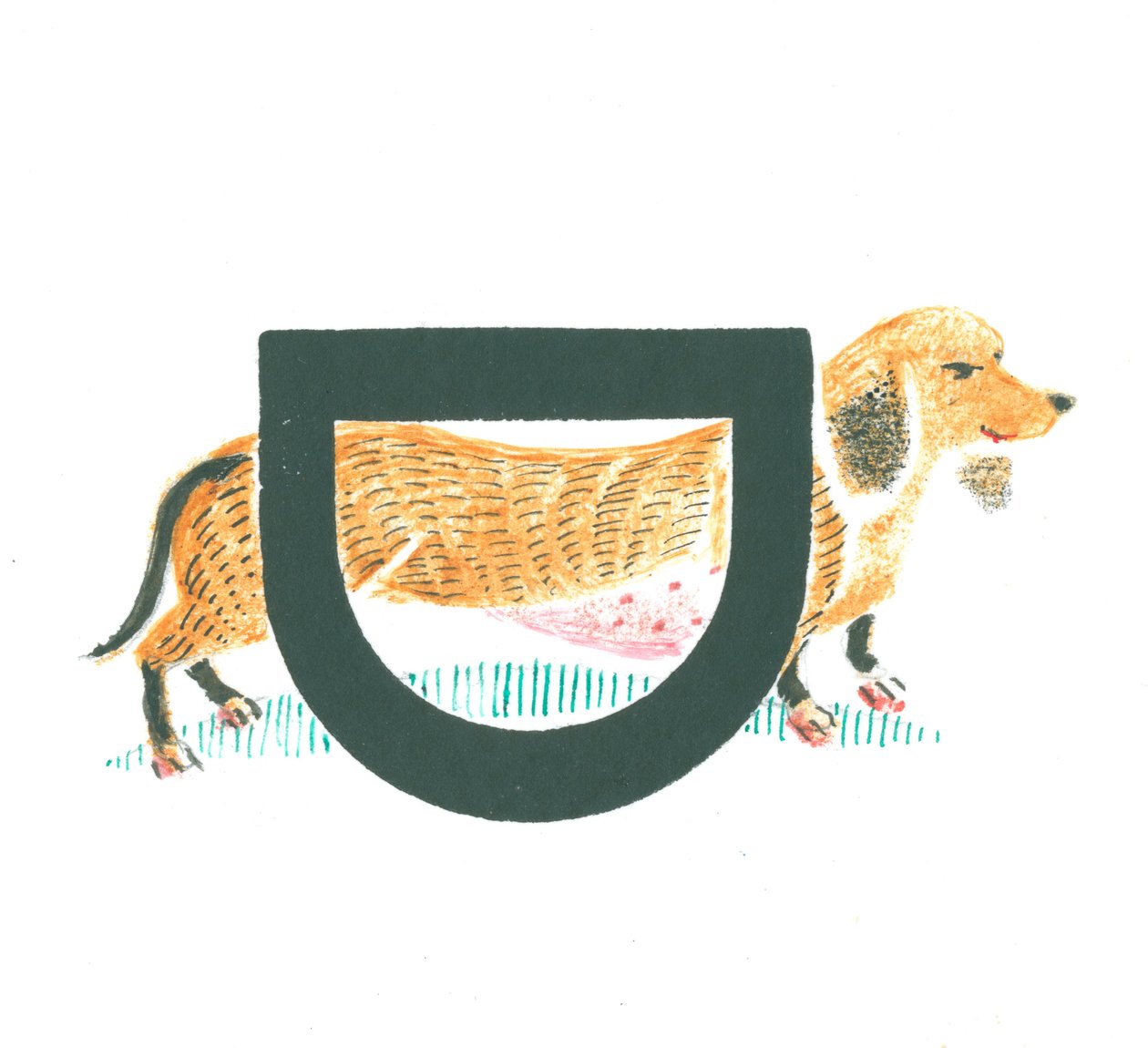 D, Dachshund के लिए है द्वारा मैरी कुपेरे