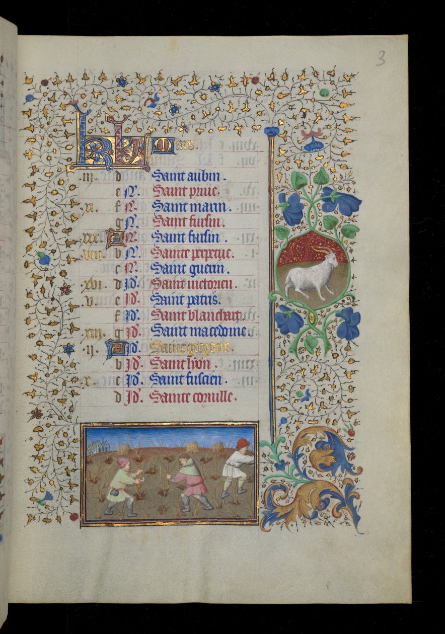  द्वारा मास्टर डुनोइस