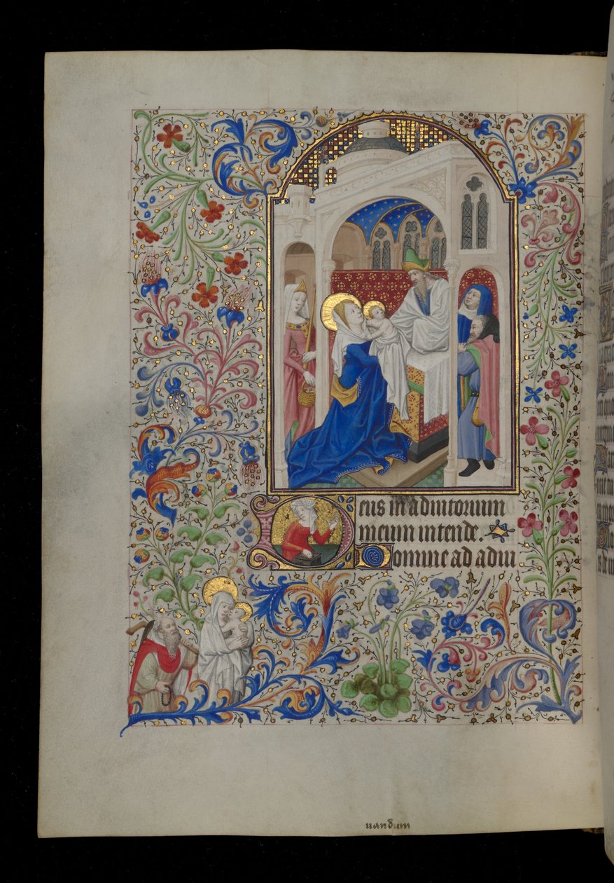  द्वारा मास्टर डुनोइस