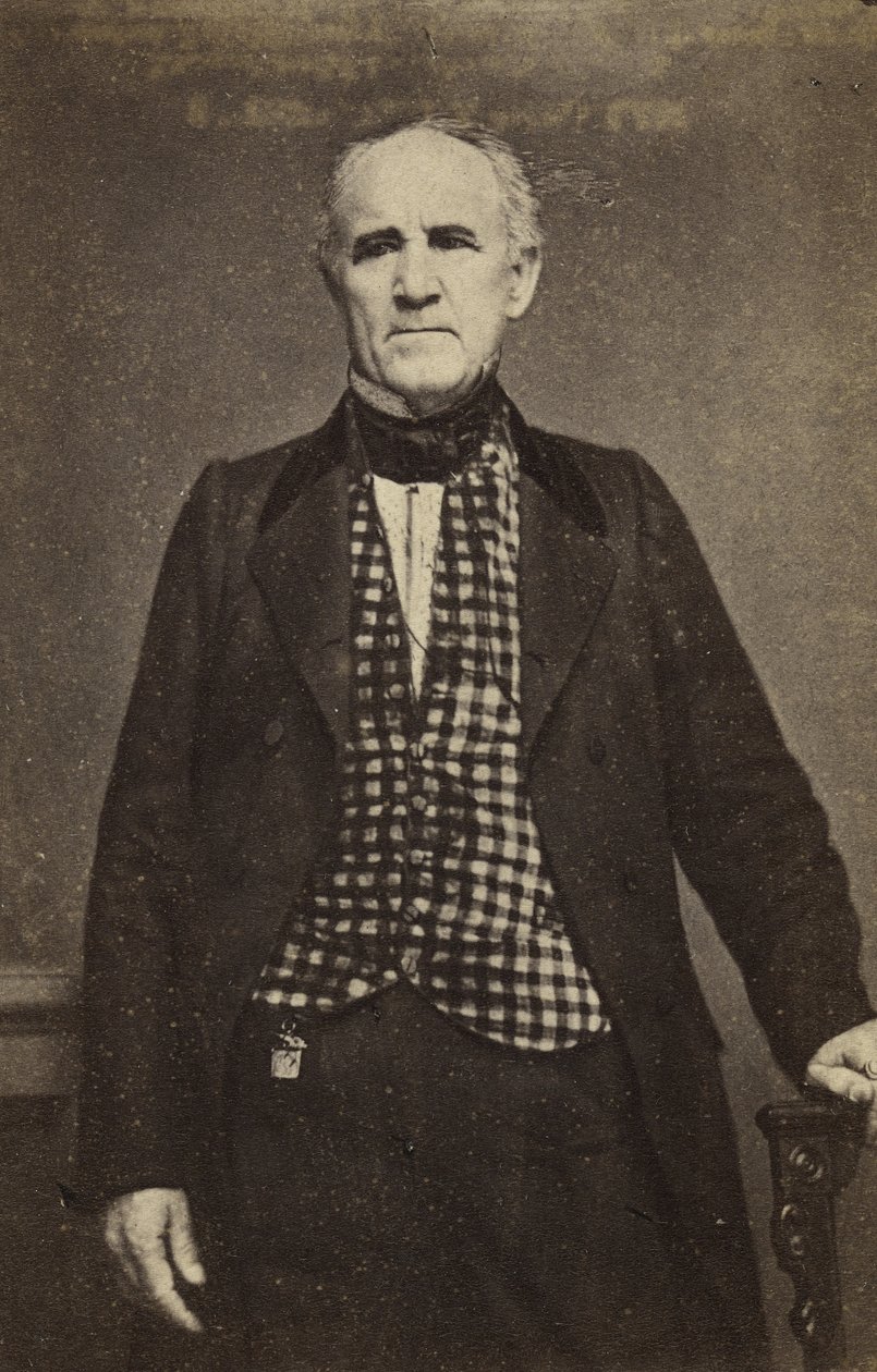 सैम ह्यूस्टन, c.1860-65 (एल्ब्यूमेन सिल्वर प्रिंट) द्वारा मैथ्यू बी ब्रैडी