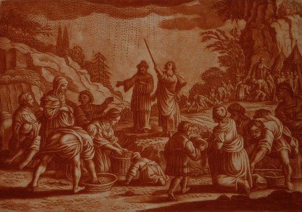गैब्रियल बोडेनेर (1673-1766) द्वारा उकेरी गई बाइबिल का चित्रण, द इजराइलाइट्स गैदरिंग मन्ना (सीपिया उत्कीर्णन) द्वारा मैटॉस II (बाद में) मेरियन