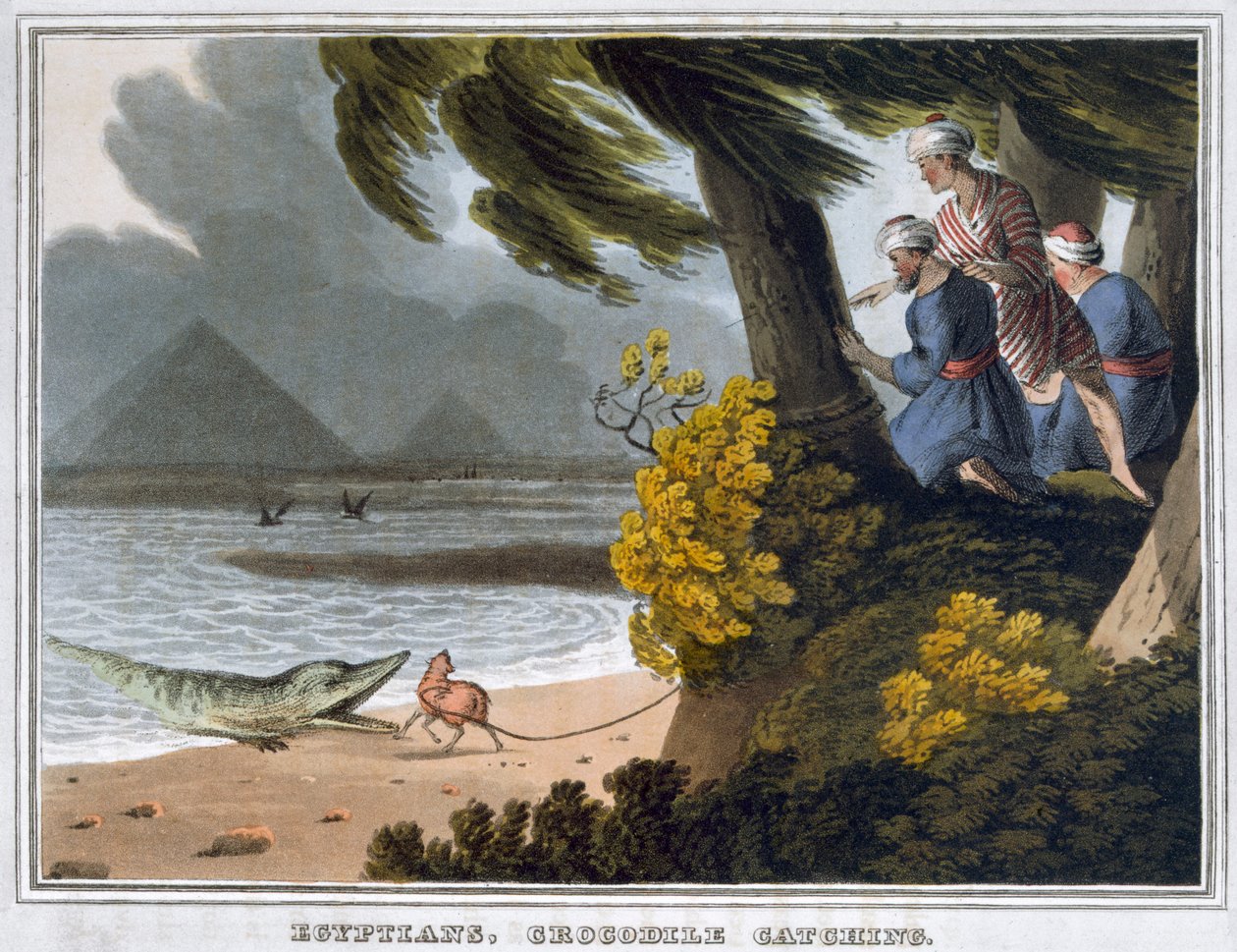 मिस्रवासी, मगरमच्छ को पकड़ना, 1813 द्वारा मैथ्यू डबबर्ग