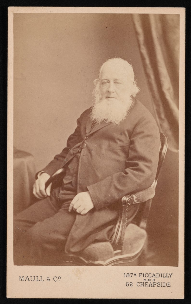 1875 से पहले जॉन गोल्ड 1804-1881 का पोर्ट्रेट। द्वारा मल्ल और सह