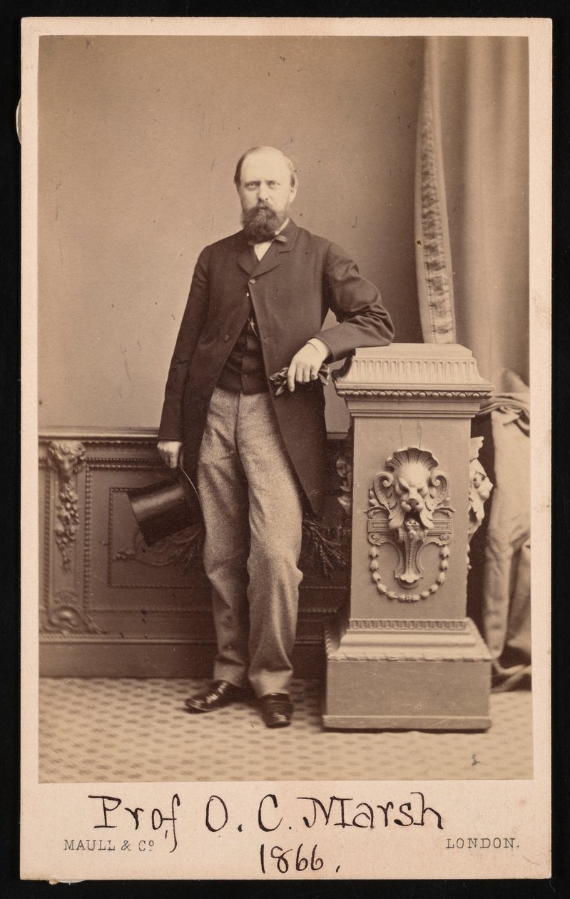 ओथनील चार्ल्स मार्श का पोर्ट्रेट 1831-1879, 1866। द्वारा मल्ल और सह