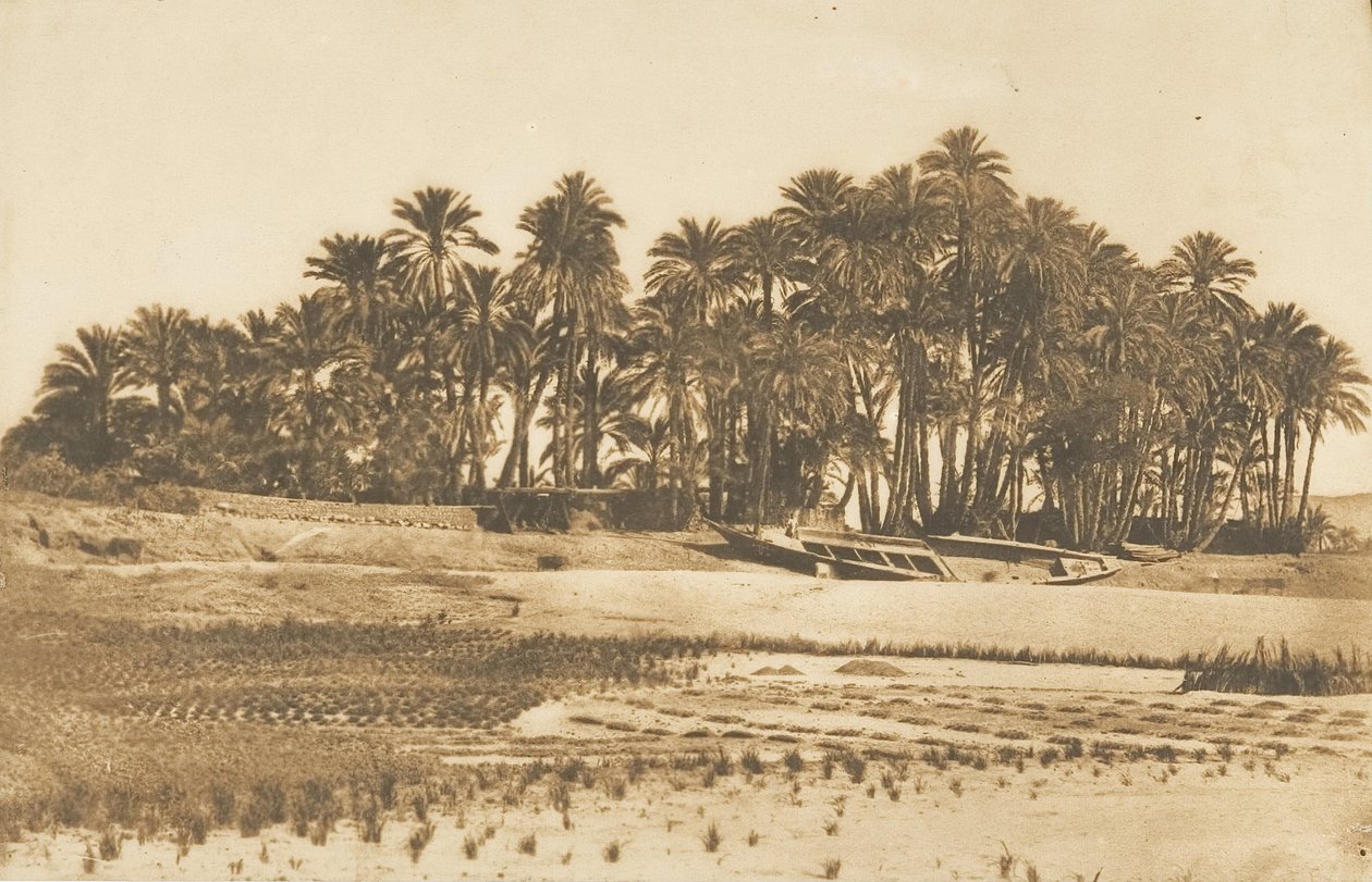1849-50 में असवान के सामने एलिफेंटाइन द्वीप का दृश्य। द्वारा मैक्सिम डू कैंप