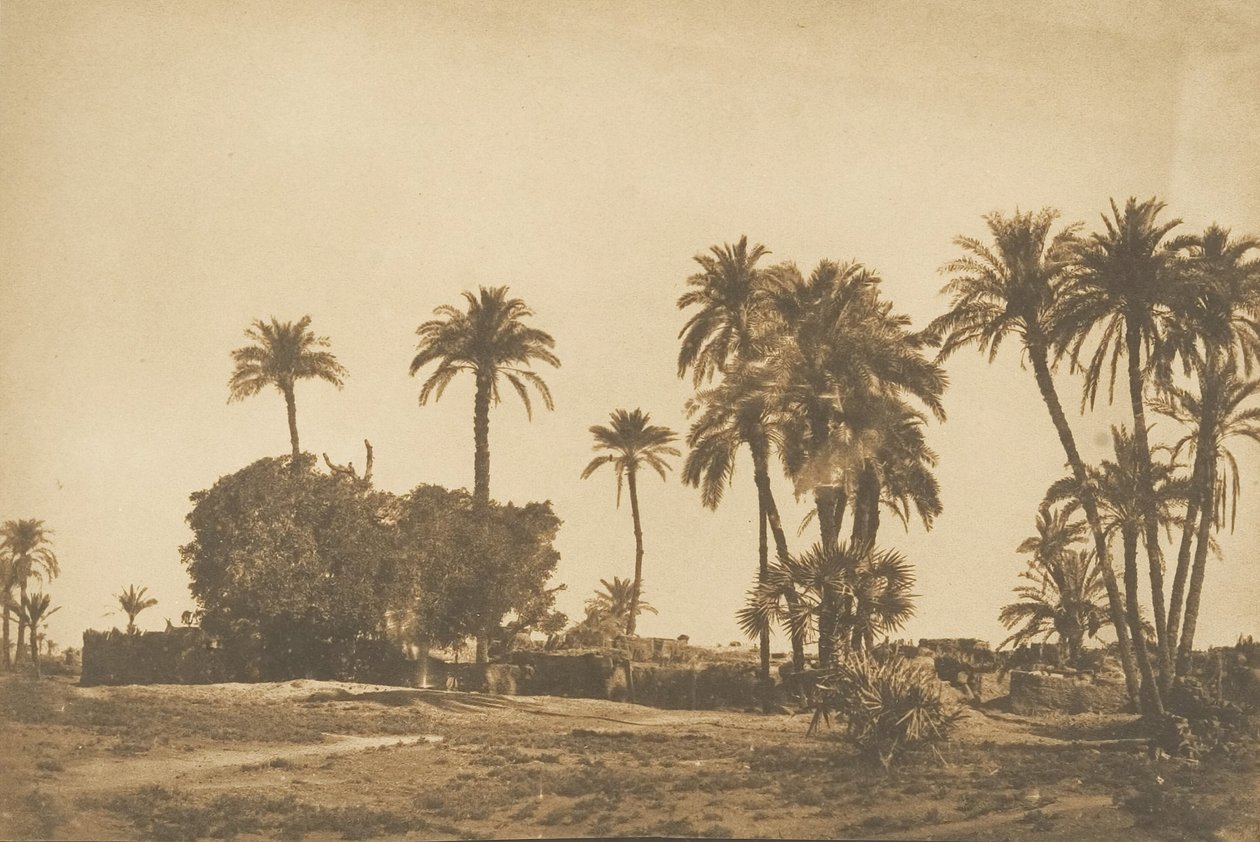 1849-50 में डेंडेरा राइट बैंक के पास हमरनेह गांव का दृश्य। द्वारा मैक्सिम डू कैंप