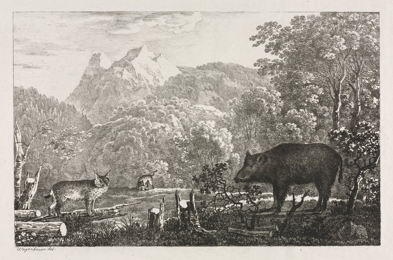 जंगली सूअर, वाइल्डकैट और लिंक्स, 1807। द्वारा मैक्सिमिलियन जोसेफ वेजेनबॉयर