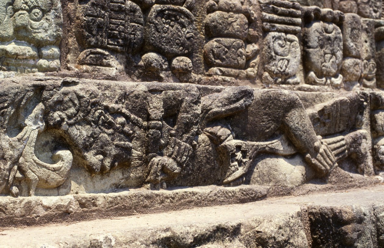 हाइरोग्लिफ़िक सीढ़ी के चरणों का कैदी, कोपन, लेट क्लासिक पीरियड (600-900)। द्वारा माया