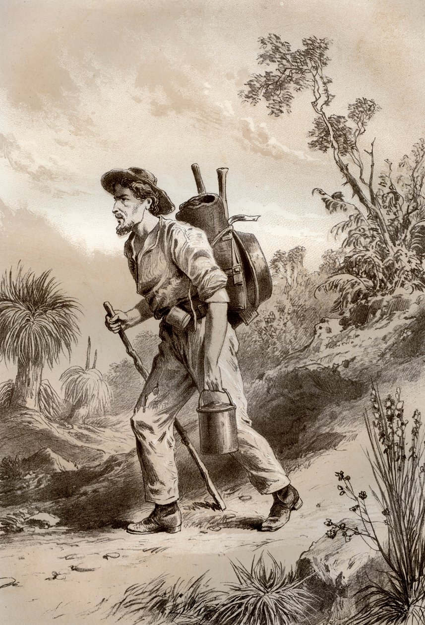 ट्रम्प पर डिगर, ऑस्ट्रेलिया, 1879। द्वारा McFarlane और Erskine