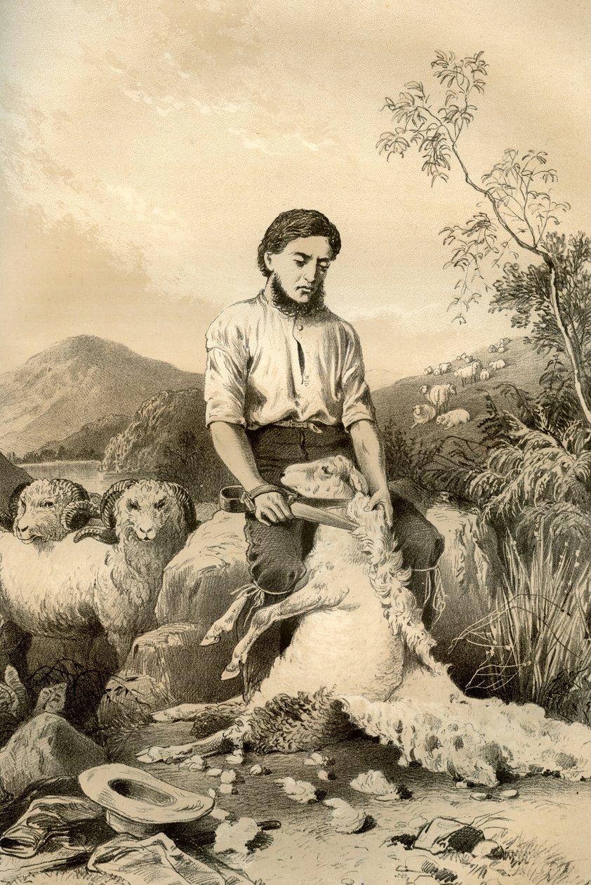 भेड़ कर्तन, 1879 द्वारा McFarlane और Erskine