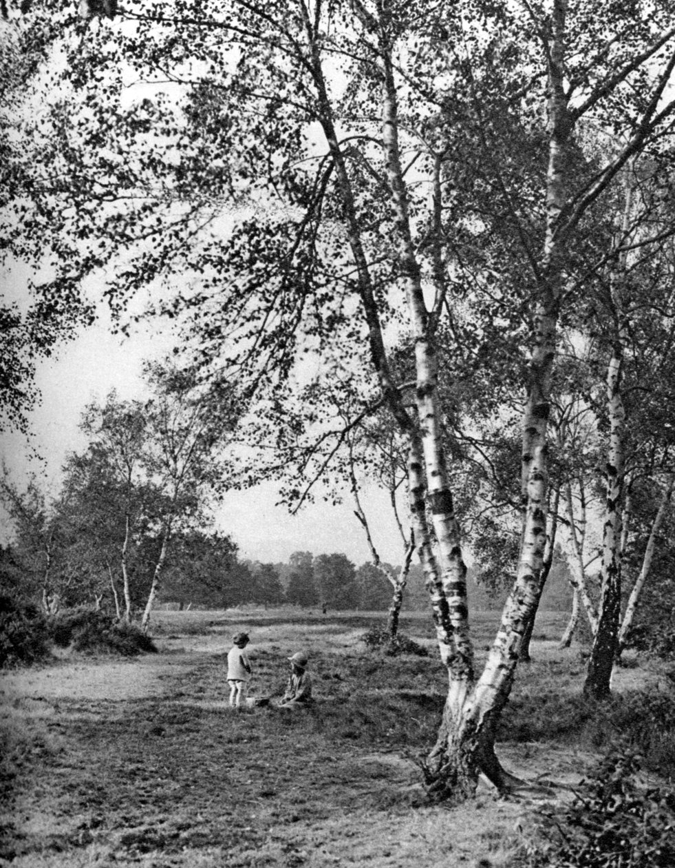पुटनी हीथ, लंदन, 1926-1927 द्वारा McLeish