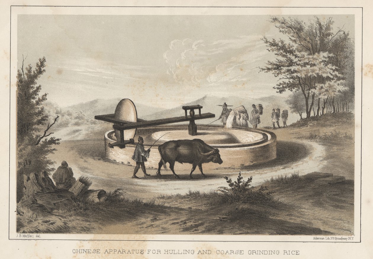 हूलिंग और मोटे पीस चावल के लिए चीनी उपकरण, 1855 द्वारा मेफ़्फ़र्त