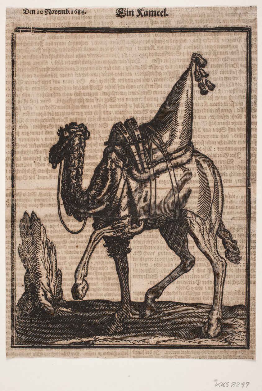  द्वारा Melchior लोरक