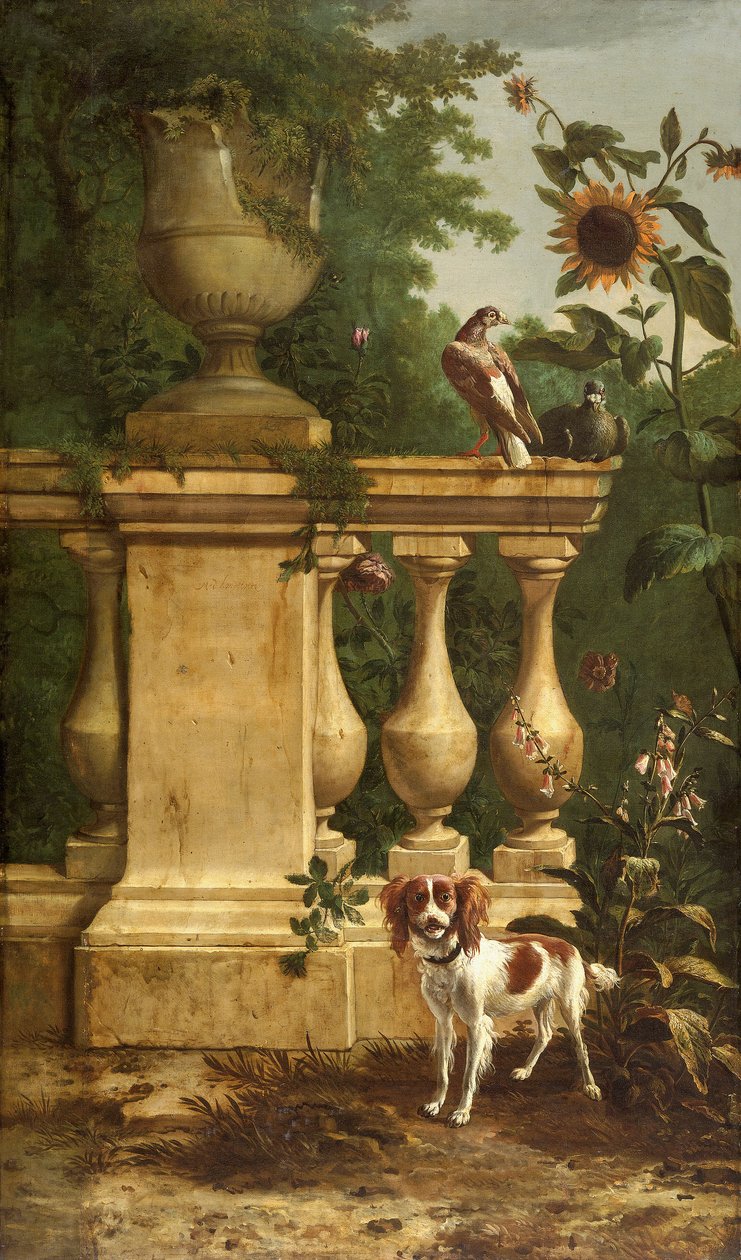 कबूतर और एक बगीचे में एक कुत्ता, c1660-1690 द्वारा मेल्चिओर डी'होंडेकोटर