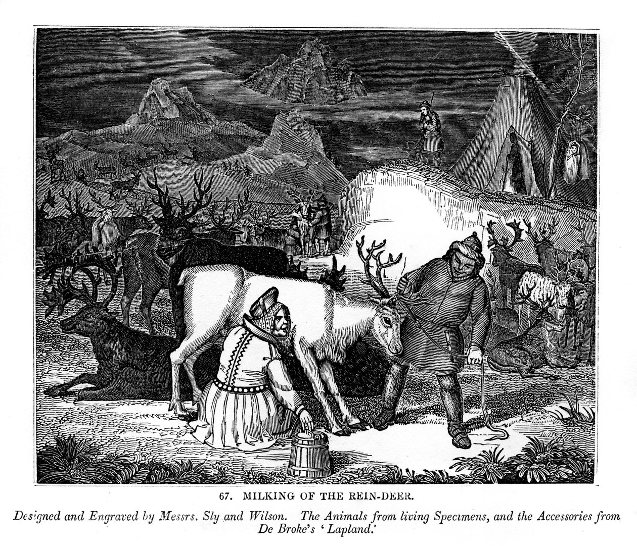 रीन-हिरण का दूध निकालना, 1843 द्वारा मेसर्स स्ली और विल्सन