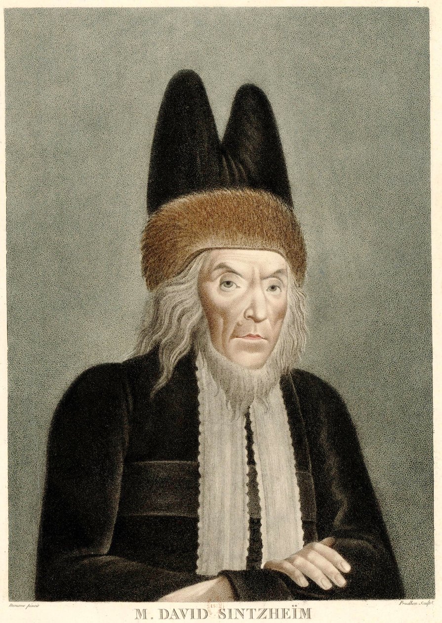 डेविड सिंटज़ाइम का पोर्ट्रेट 1745-1812, 1800। द्वारा मिशेल फ्रांस्वा डेम डेमार्ट्राईस