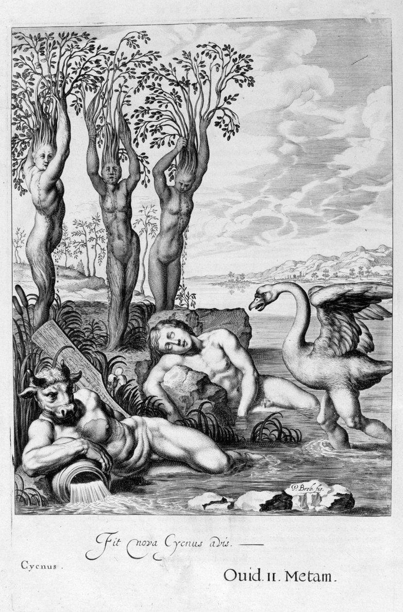 सिग्नस एक हंस और फेटन बहनों में पॉपलर, 1655 में बदल गया द्वारा मिशेल डी मारोलस