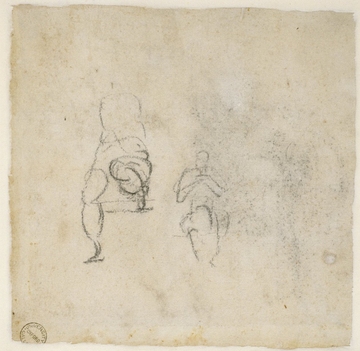 चित्रा अध्ययन, c.1511 (कागज पर काला चाक) द्वारा माइकल एंजेलो बुओनारोती