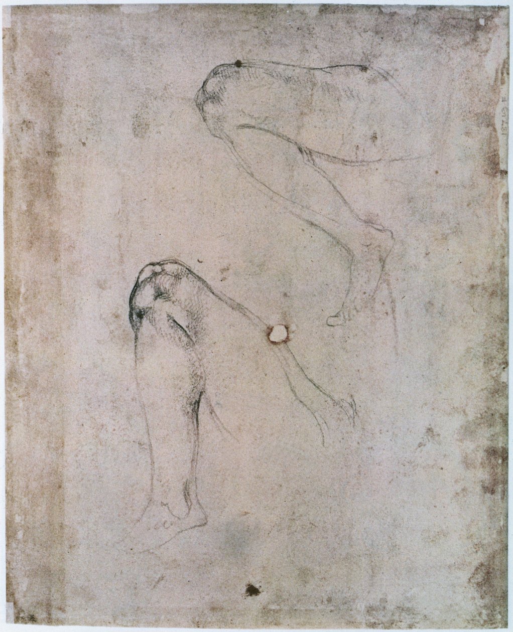 सिस्टिन चैपल सीलिंग (1508-12): द ओरिजिनल सिन (कागज पर लकड़ी का कोयला) के दृश्य से ईव के दाहिने पैर के दो रेखाचित्र द्वारा माइकल एंजेलो बुओनारोती