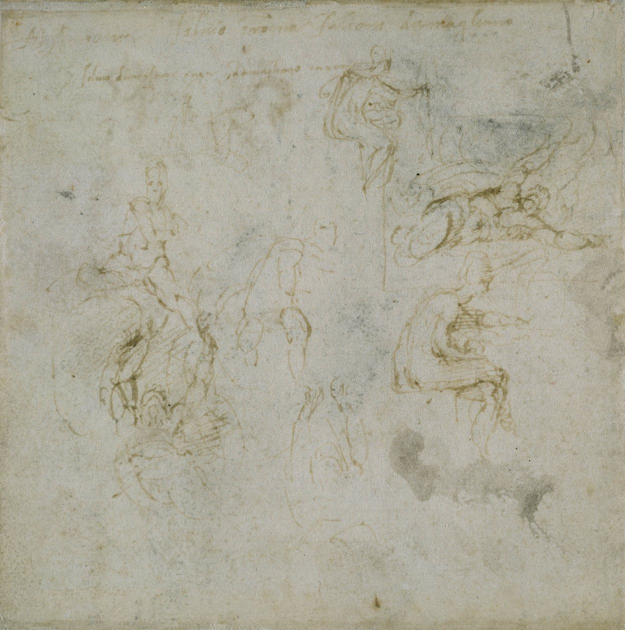 आंकड़ों का अध्ययन, c.1511 द्वारा माइकल एंजेलो बुओनारोती